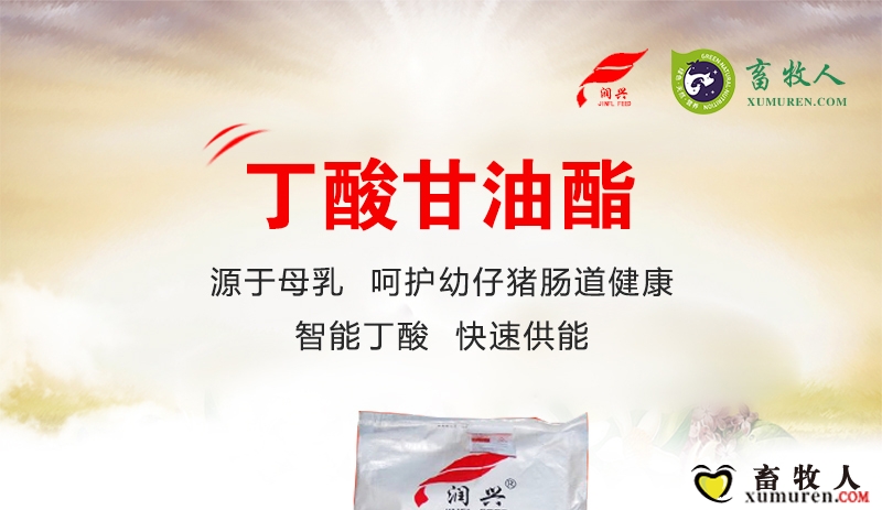 丁酸甘油酯_01.jpg