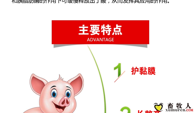 丁酸甘油酯_03.jpg
