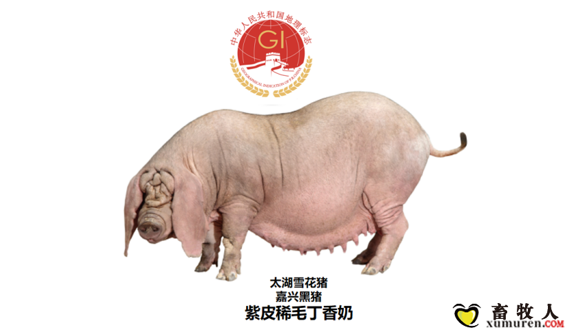 qw6.jpg