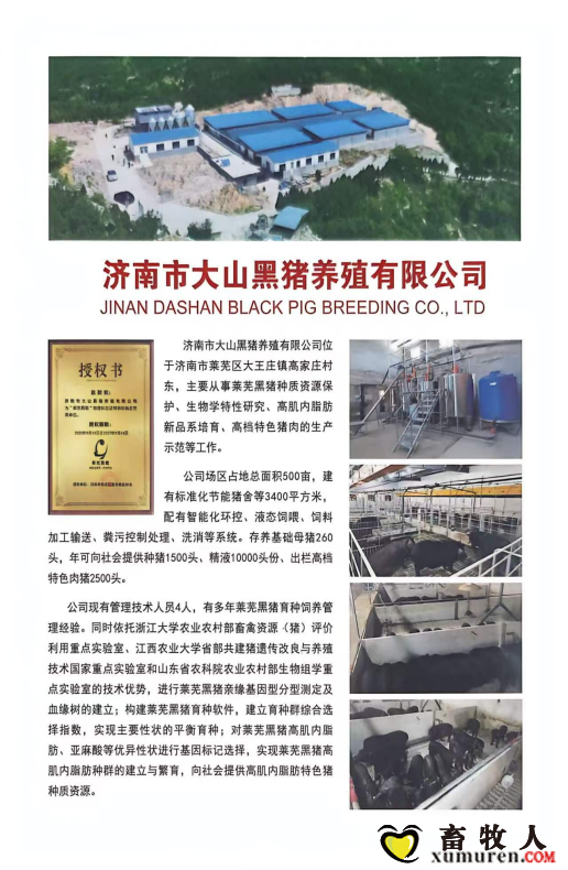 qw28.jpg