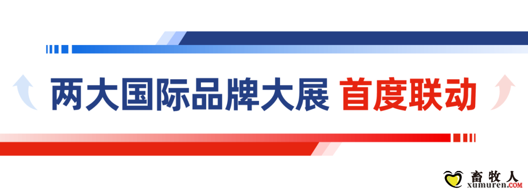 qw5.jpg