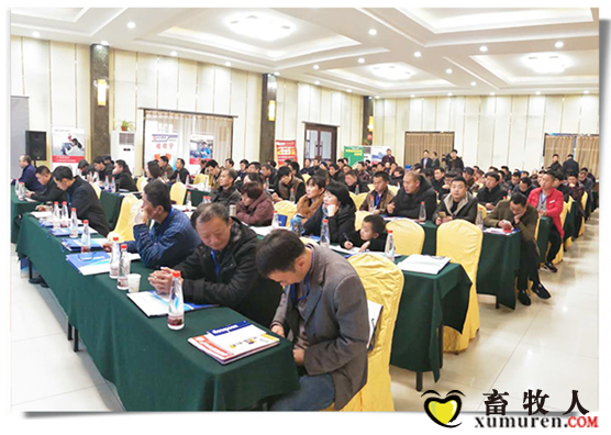 环山集团饲料事业部-鲁南战区首届生猪精准